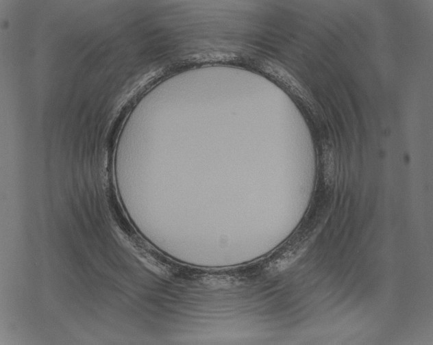 X0000078280490200612011748