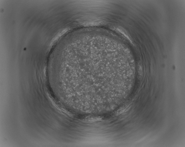 X0000078280491200612011748