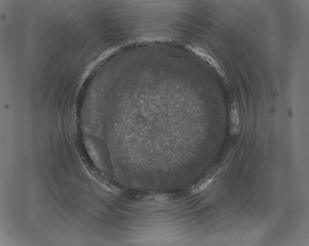 X0000078280492200612011748