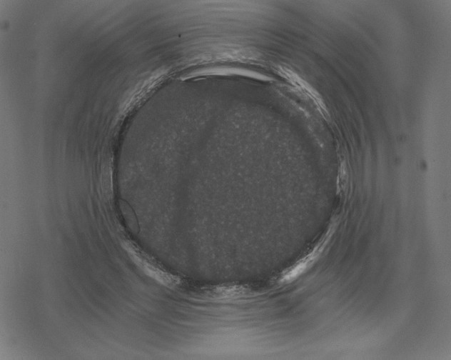 X0000078280493200612011748