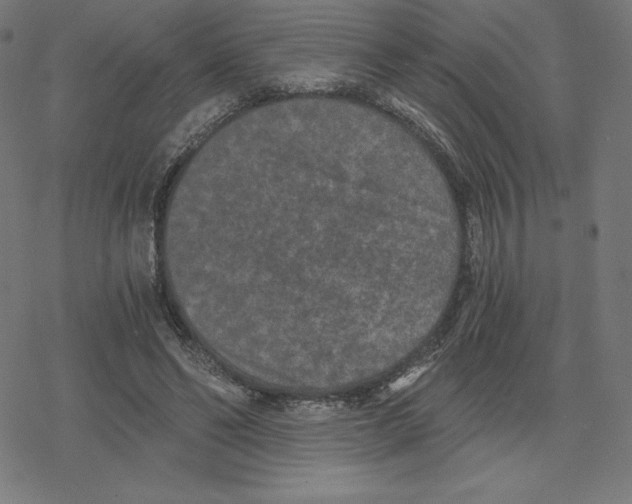 X0000078280494200612011748