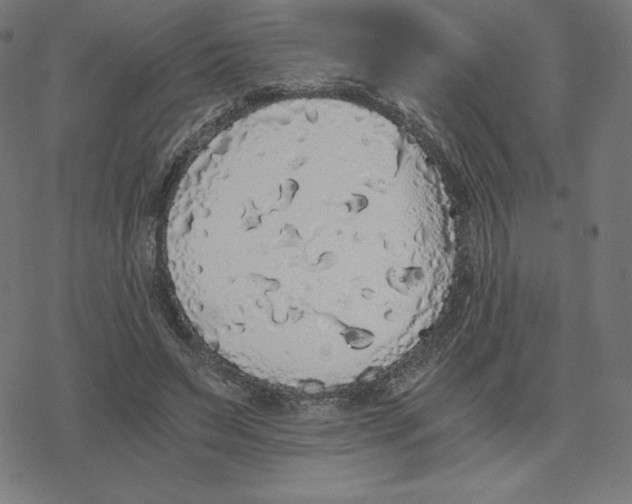 X0000078280495200612011748