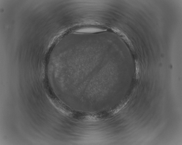 X0000078280496200612011748