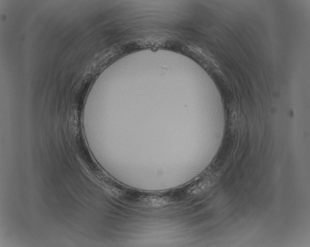 X0000078280498200612011748