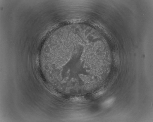 X0000078280499200612011748