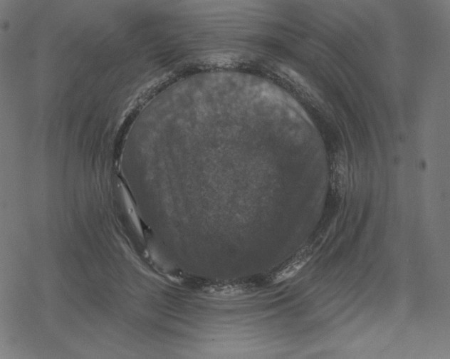 X0000078280500200612011748