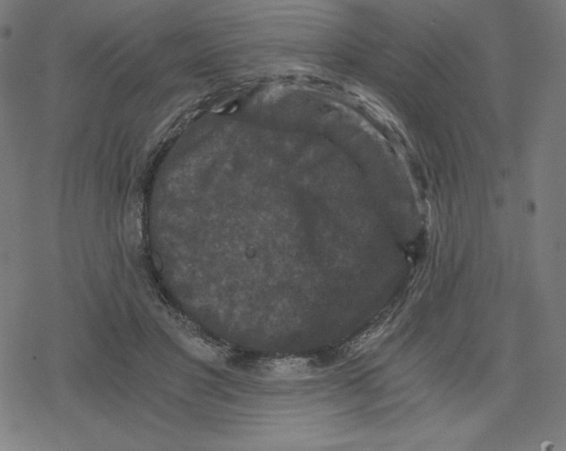 X0000078280501200612011748