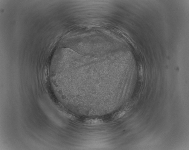 X0000078280503200612011748