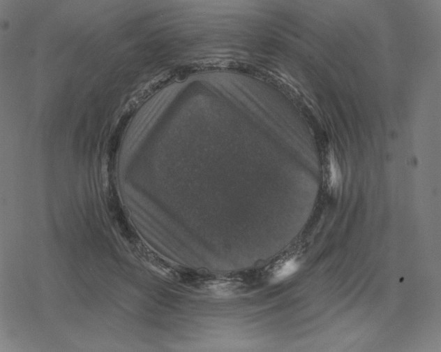 X0000078280504200612011747