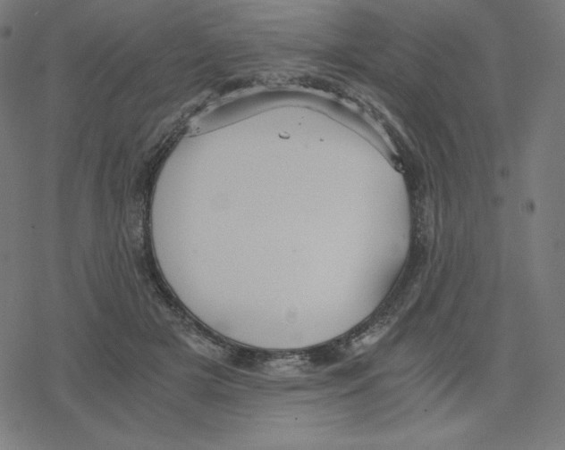 X0000078280505200612011747