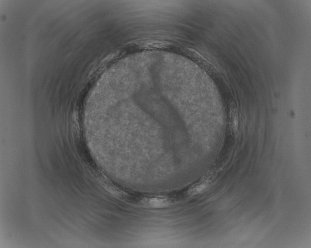 X0000078280506200612011747