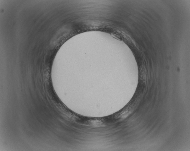 X0000078280509200612011747