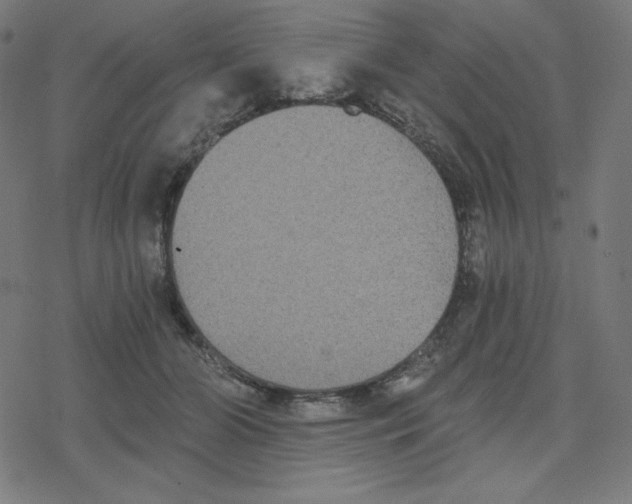 X0000078280510200612011747