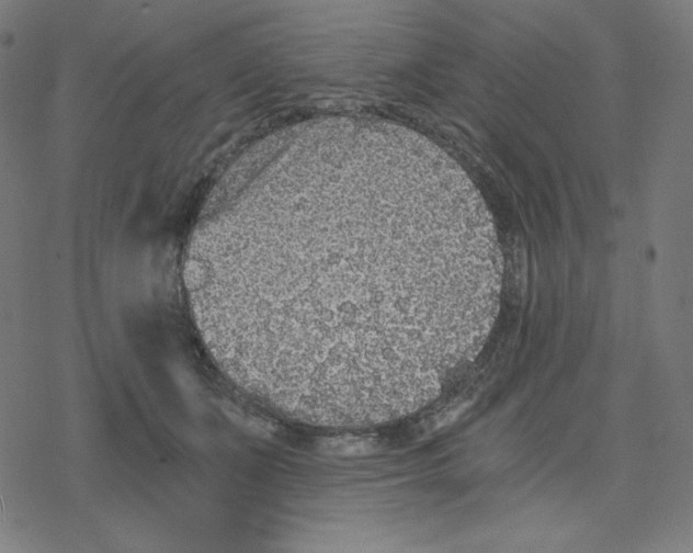 X0000078280511200612011747