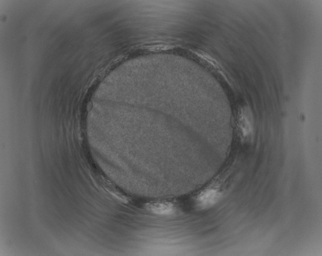 X0000078280512200612011747