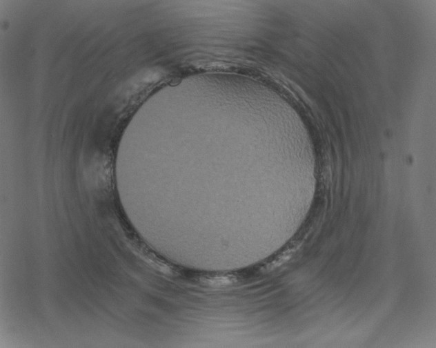 X0000078280513200612011747