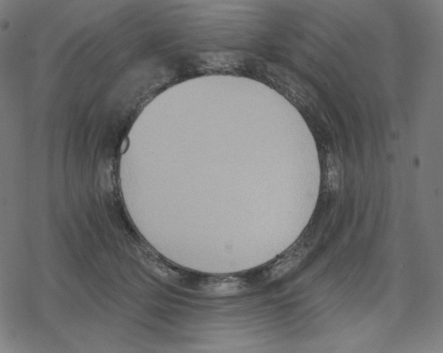 X0000078280514200612011747