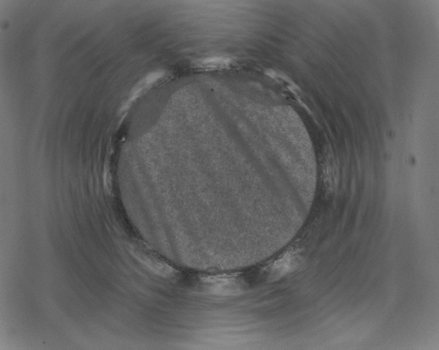 X0000078280516200612011747