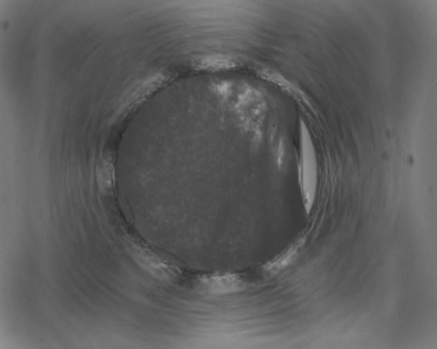 X0000078280517200612011747