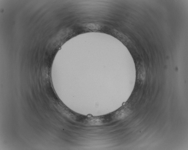 X0000078280518200612011747