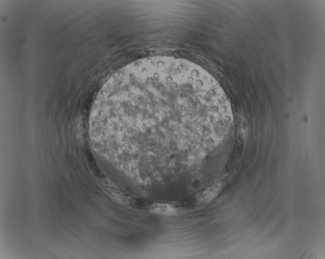 X0000078280519200612011747