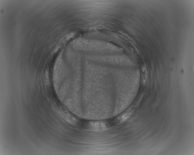 X0000078280520200612011747