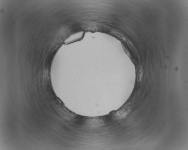 X0000078280521200612011747