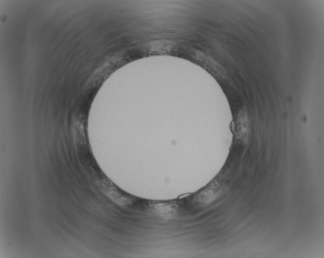 X0000078280522200612011747