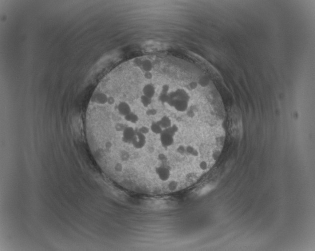 X0000078280523200612011747