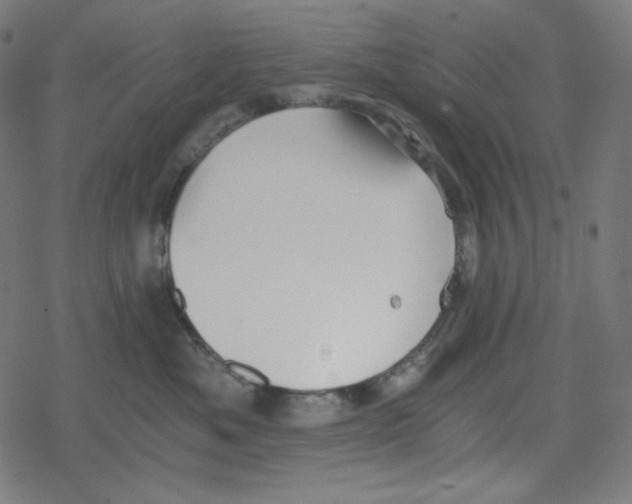 X0000078280525200612011747