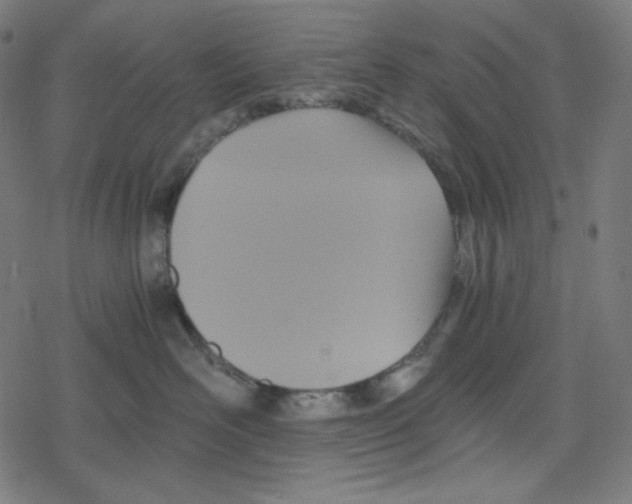 X0000078280526200612011747