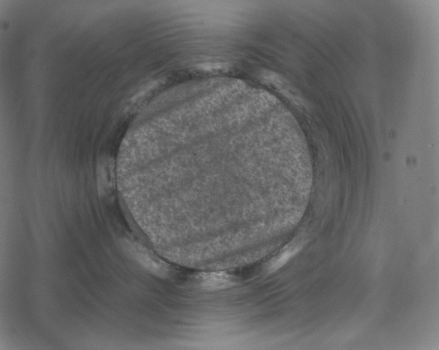 X0000078280528200612011747