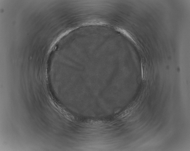 X0000078280531200612011746