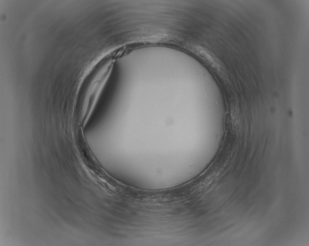 X0000078280532200612011746