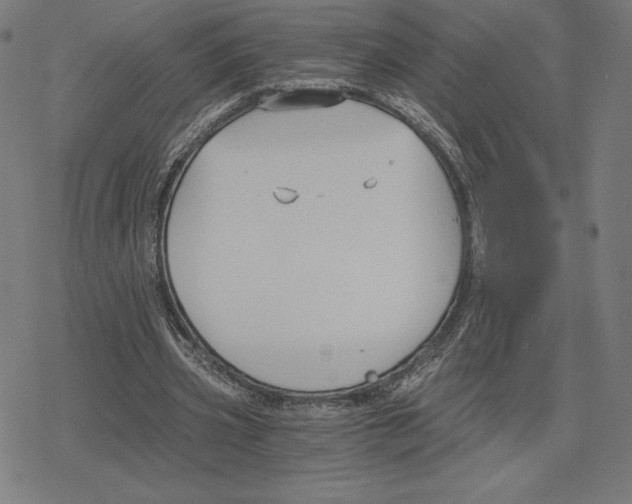 X0000078280533200612011746