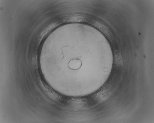 X0000078280534200612011746