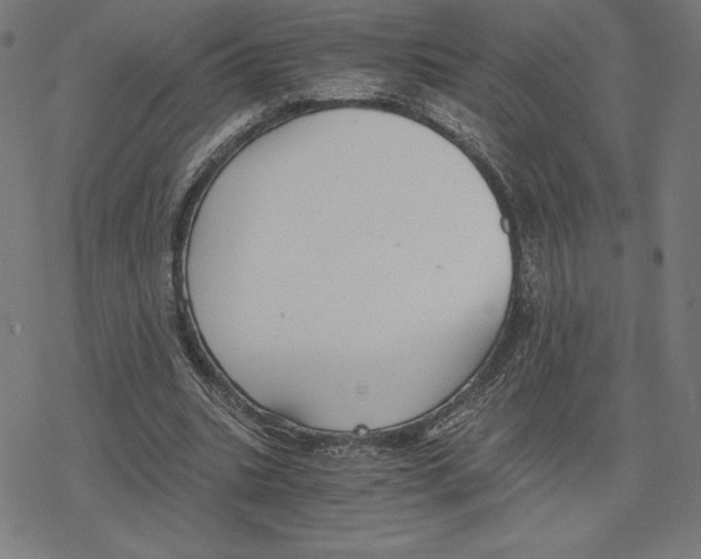 X0000078280535200612011746