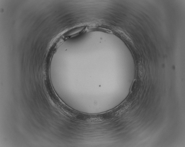 X0000078280536200612011746