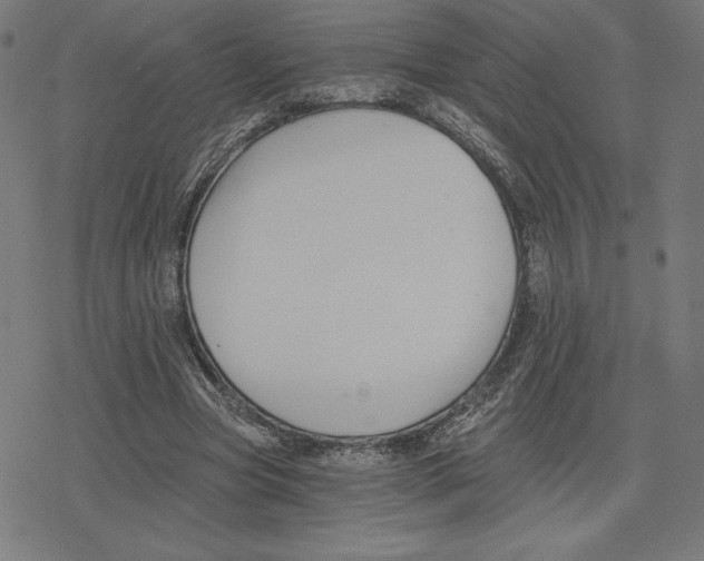 X0000078280537200612011746