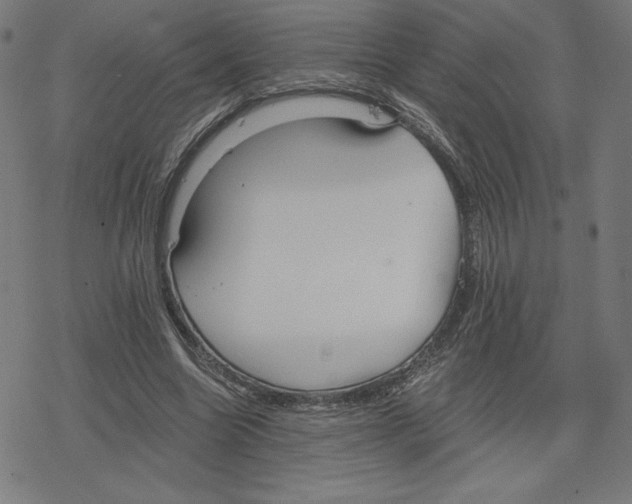 X0000078280538200612011746