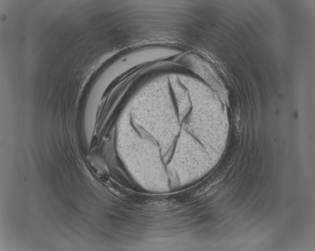 X0000078280540200612011747