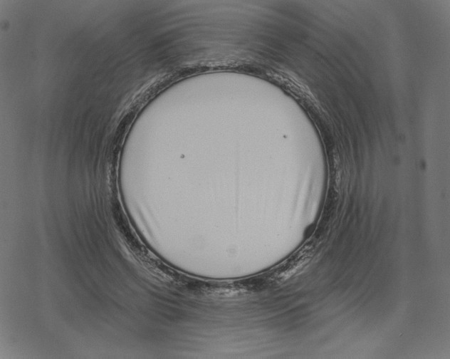 X0000078280542200612011747