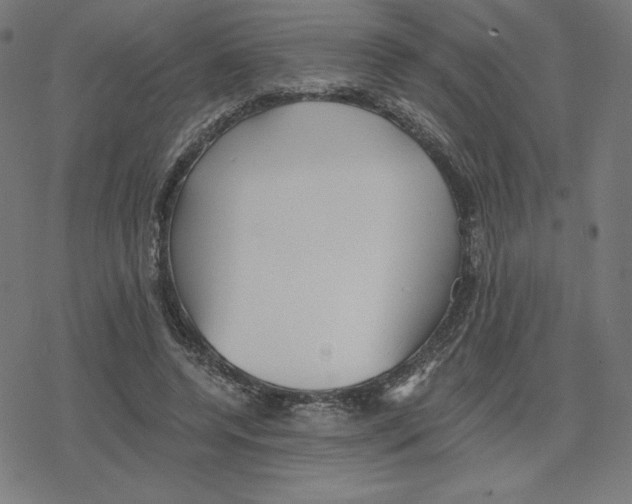 X0000078280544200612011747