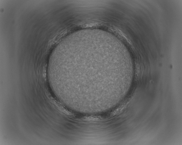 X0000078280545200612011747