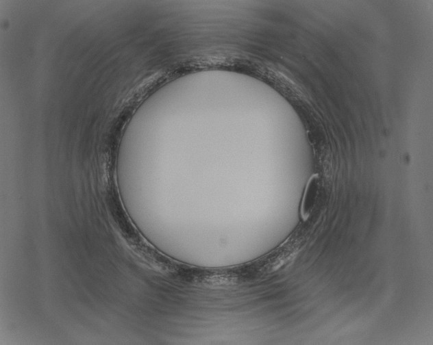 X0000078280546200612011747