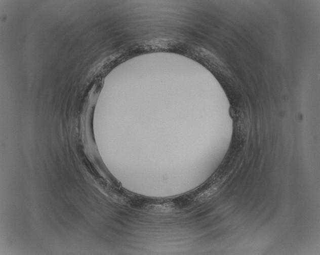 X0000078280548200612011747