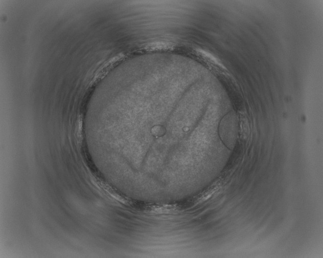 X0000078280550200612011747