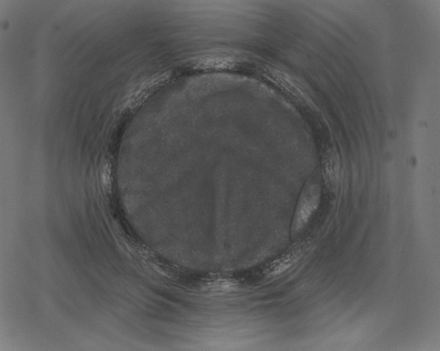 X0000078280551200612011747