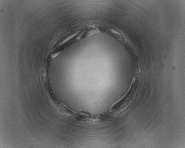 X0000078280552200612011747