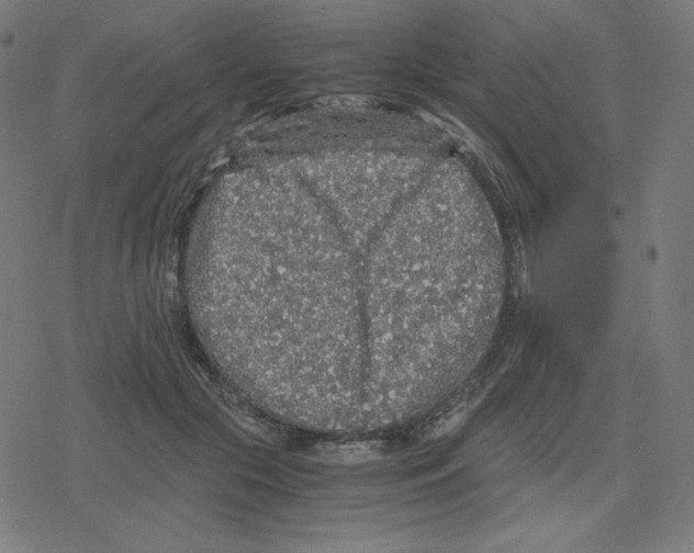 X0000078280553200612011747